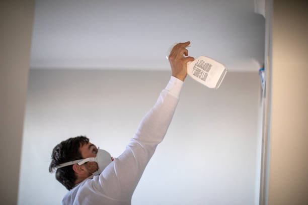 Best Localized Mold Remediation (e.g., coastal areas, humid climates) in Sudley, VA