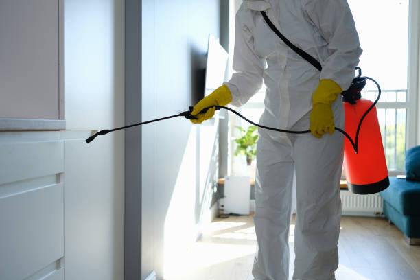 Best Emergency Mold Remediation in Sudley, VA