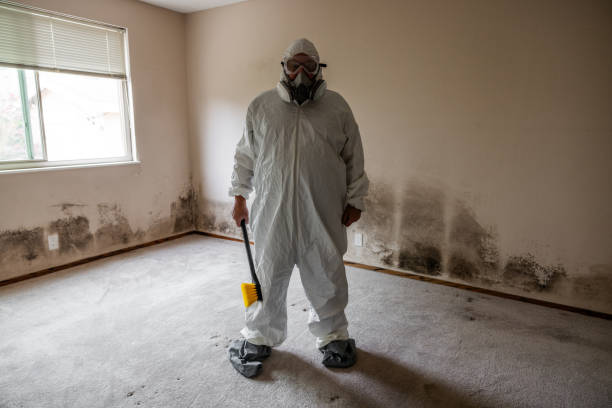 Sudley, VA Mold Remediation Company